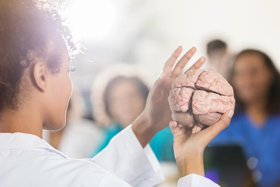 a female doctor demonstrates using the human brain model infront of her class 