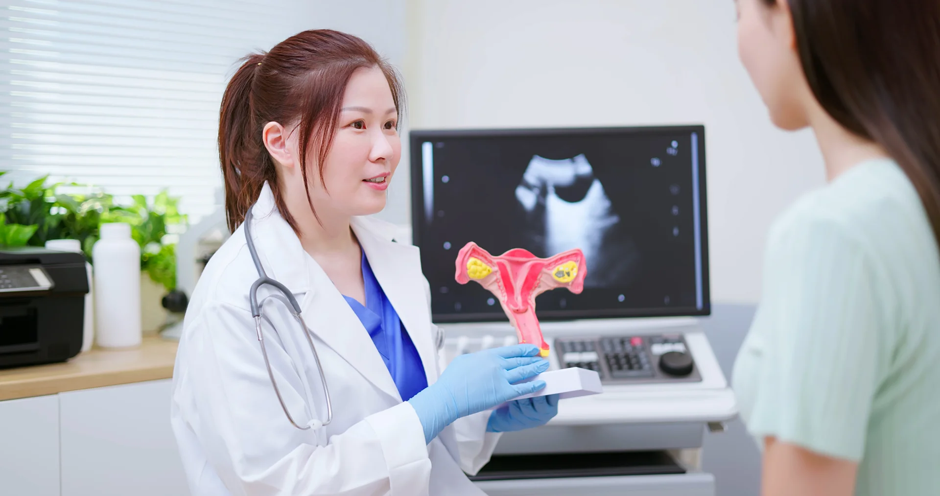 a doctor shows uterus model to her patient